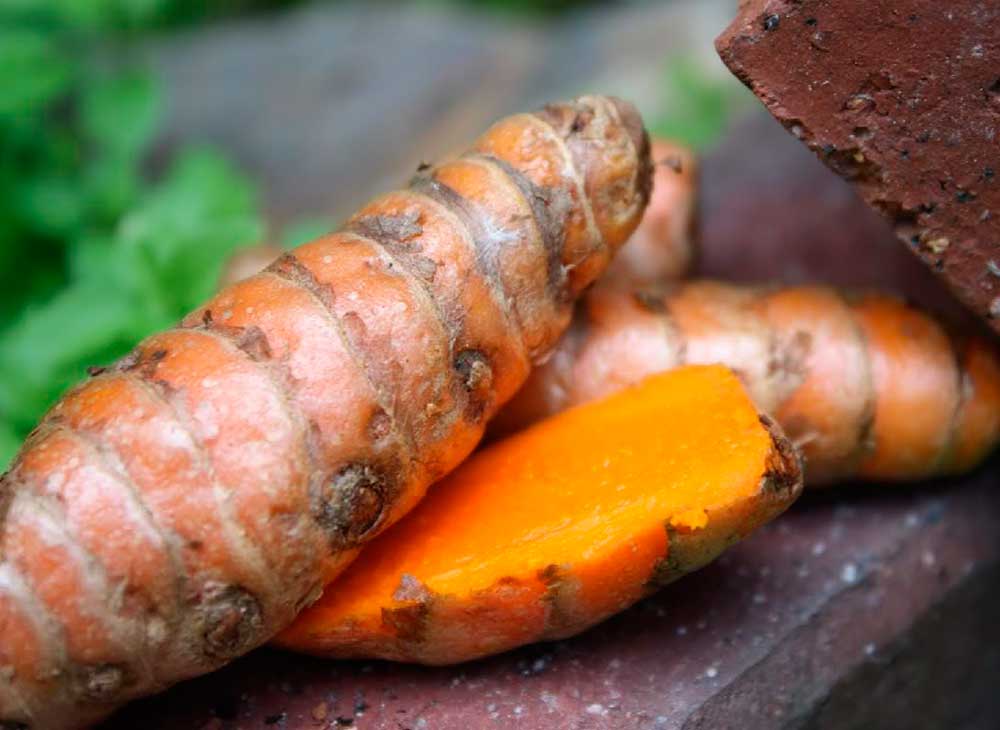 Curcuma Longa