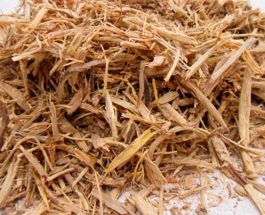 Pygeum Africanum